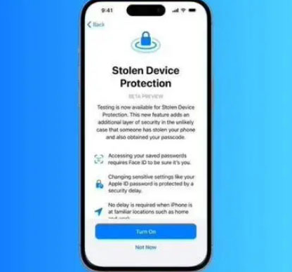 高埗镇苹果授权维修店分享被盗设备保护功能开启方法 