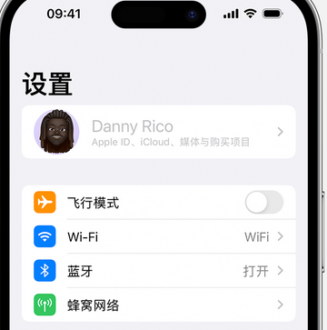 高埗镇appleID维修服务iPhone设置中Apple ID显示为灰色无法使用 