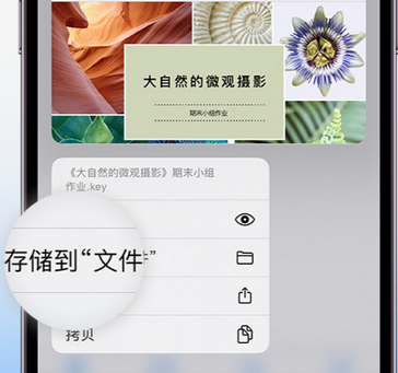 高埗镇apple维修中心分享iPhone文件应用中存储和找到下载文件