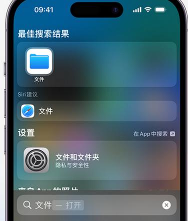 高埗镇apple维修中心分享iPhone文件应用中存储和找到下载文件 