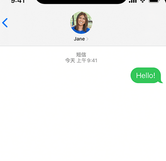 高埗镇apple维修iPhone上无法正常发送iMessage信息