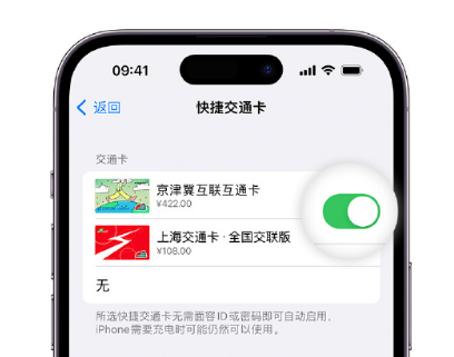 高埗镇apple维修点分享iPhone上更换Apple Pay快捷交通卡手绘卡面 