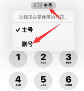 高埗镇苹果14维修店分享iPhone 14 Pro Max使用副卡打电话的方法 