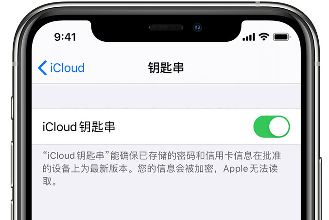 高埗镇苹果手机维修分享在 iPhone 上开启 iCloud 钥匙串之后会储存哪些信息 